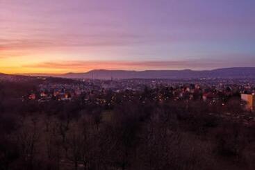 هتل Panorama