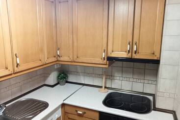 Apartamentos Biescas 3000