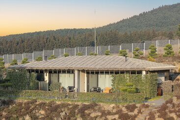 Amber Pure Hill Hotels & Resorts Jeju