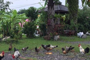 هتل Beautiful Yilan Resort