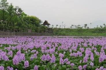 هتل Beautiful Yilan Resort