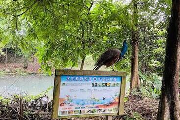 هتل River Forest Leisure Farm