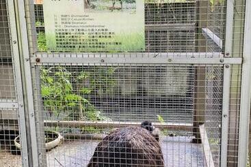 هتل River Forest Leisure Farm