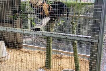 هتل River Forest Leisure Farm