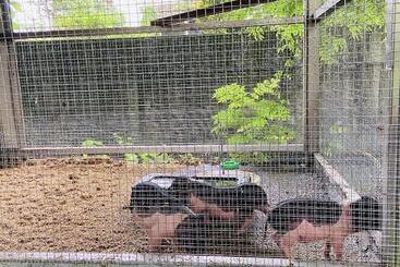 هتل River Forest Leisure Farm
