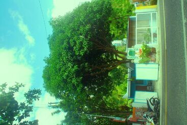 پانسیون Pedz Cing Mango Lodge
