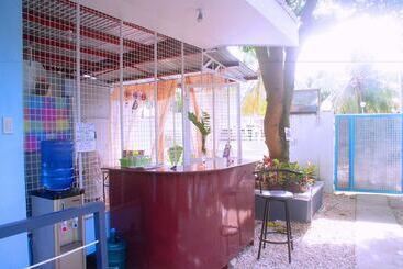 پانسیون Pedz Cing Mango Lodge