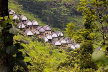 The Waterfall Villas