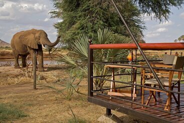 هتل Ashnil Samburu Camp