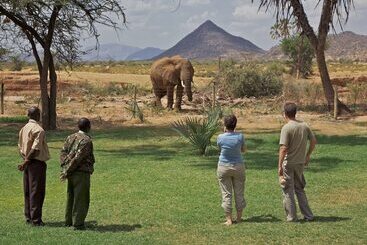 هتل Ashnil Samburu Camp