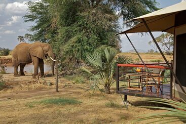 هتل Ashnil Samburu Camp