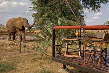 هتل Ashnil Samburu Camp