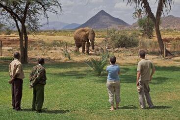 هتل Ashnil Samburu Camp