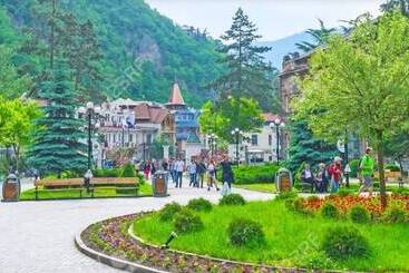 هتل Bakuriani Plaza B 217