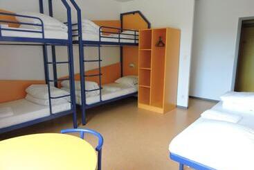 هاستل Auberge De Jeunesse De Mulhouse