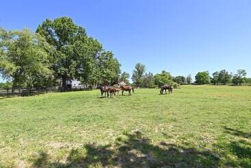 Cozy Georgetown Cottage On A Working Horse Farm!