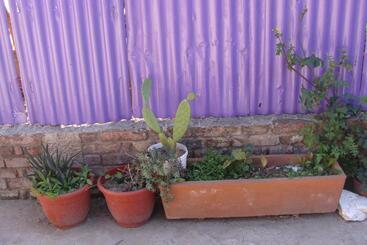 旅馆 Intiaconcagua Habitaciones Familiares