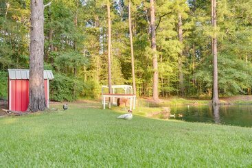 Kilgore Gem: Pet Friendly Cabin W/ Duck Pond!