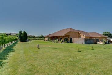 West Richland Home W/ Vineyard & Mountain Views!