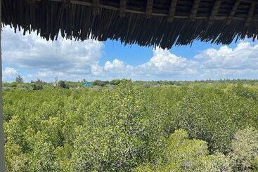 هتل Mwazaro Beach Lodge