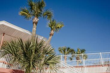 Мотель The Local   St. Augustine