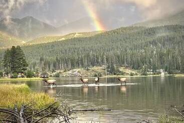 Mountain Shadows Resort