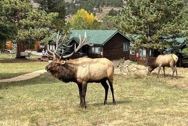 Mountain Shadows Resort