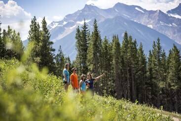 公寓式酒店  Panorama Mountain Resort   Toby Creek Horsethief Condos