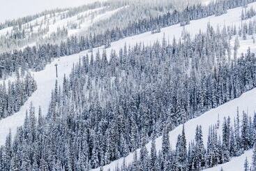 The Innsbruck Aspen By Frias