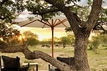 هتل Etosha Oberland Lodge