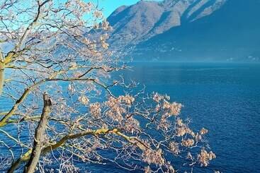 هتل The Convo Lake Como