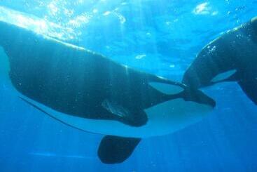 ゴールデンビーチホテル