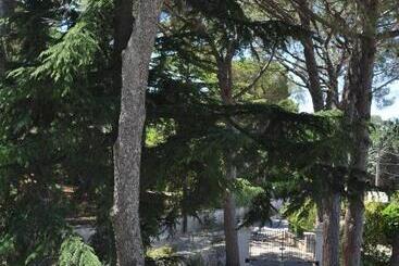 B&b Villa Rosanna