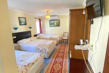 Sevin Hotel Pension