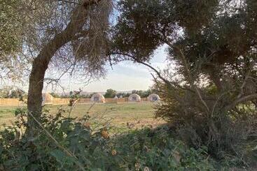 منتجع جلامبنغ   Glamping Resort