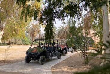 منتجع جلامبنغ   Glamping Resort