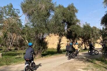 منتجع جلامبنغ   Glamping Resort