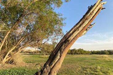 منتجع جلامبنغ   Glamping Resort