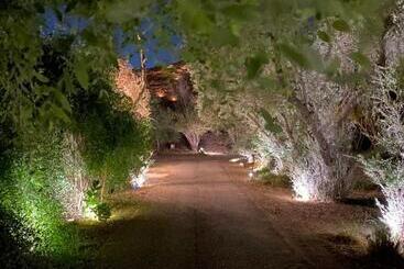 منتجع جلامبنغ   Glamping Resort