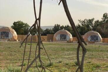 منتجع جلامبنغ   Glamping Resort