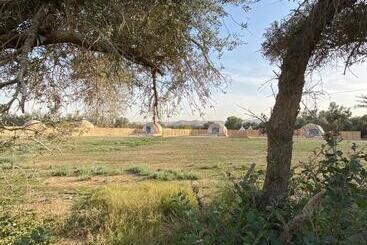 منتجع جلامبنغ   Glamping Resort