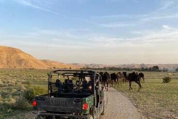 منتجع جلامبنغ   Glamping Resort
