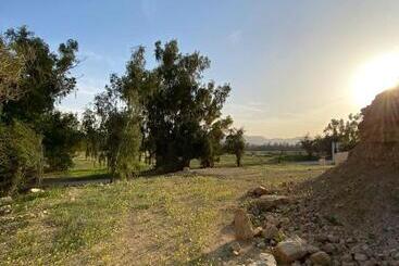 منتجع جلامبنغ   Glamping Resort