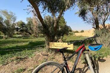 منتجع جلامبنغ   Glamping Resort