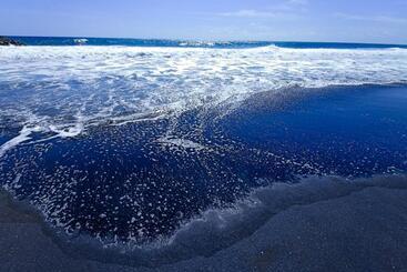 هاستل Cabañas Y Camping Punta Sur Mazunte