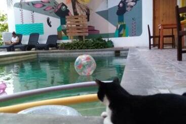 فندق Balu
