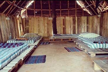 هاستل House Of Gowwli