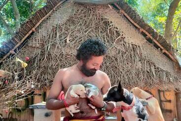 هاستل House Of Gowwli