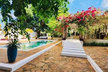تختخواب و صبحانه Killi Bohemian Luxury