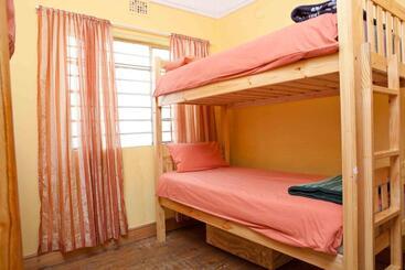 旅馆 Green Elephant Backpackers
